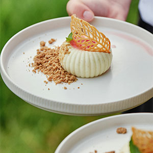 Dessert of rhubarb, apple cheese cake and spiced crumb